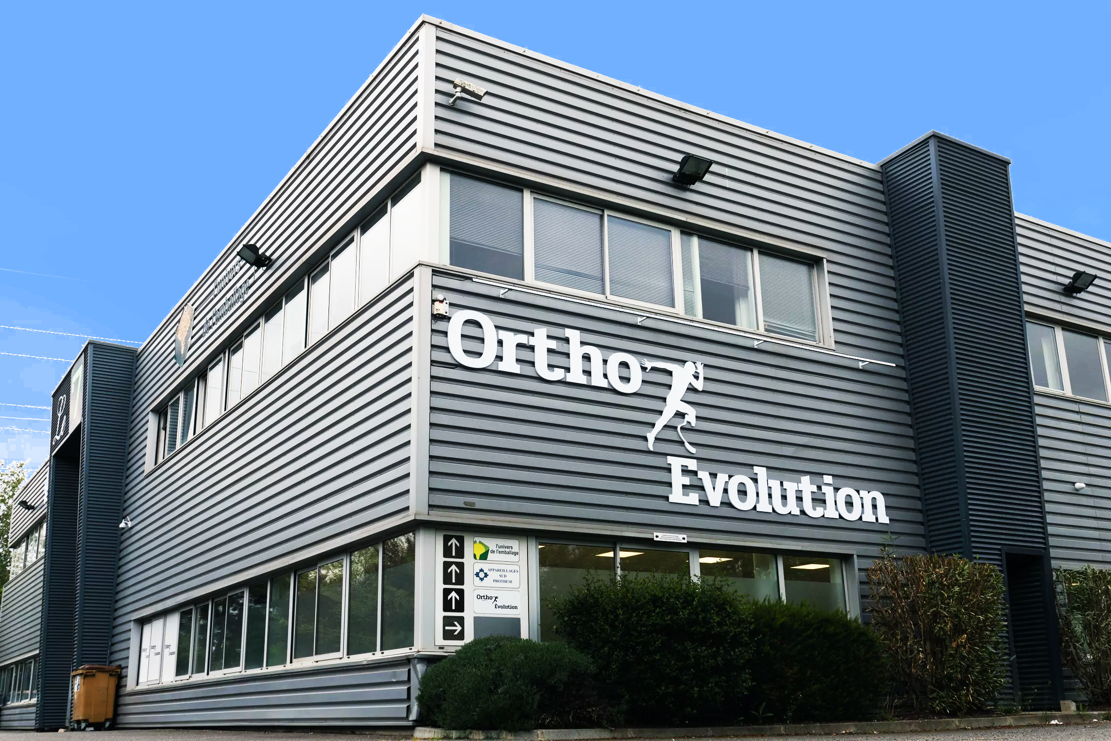 orthoevolution31